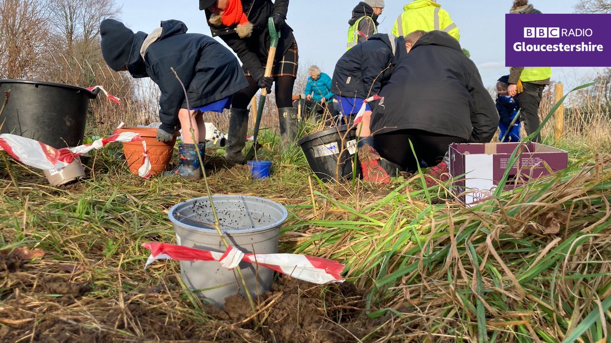 BBCGlos's tweet photo. We have our first #Ourboretum saplings in the ground! π±πͺ΄π³π₯³
A handful of participants were invited to plant their oak saplings in Coxβs meadow, #Cheltenham, hopefully for future generations to cherish.
Now to find homes for hundreds moreβ¦ π¬ https://t.co/WIdcYYjMl1