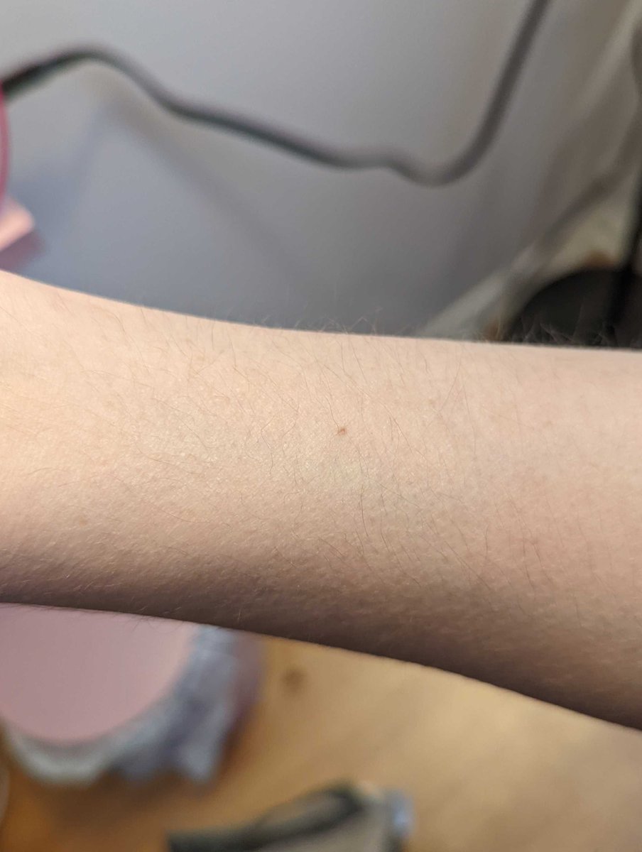 Watching <a href="/Brainwash_Gang/">Brainwash Gang 🇵🇸</a>'s documentary for The Longest Road on Earth and I LITERALLY GOT GOOSBUMPS.