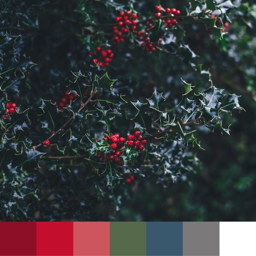 Rich tones are living in my head rent free this winter season 🍷 #ColorPalette #InteriorDesign