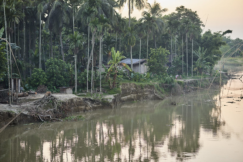 Trees and a house along a riverbank affected by erosion due to floods in Assam, India.