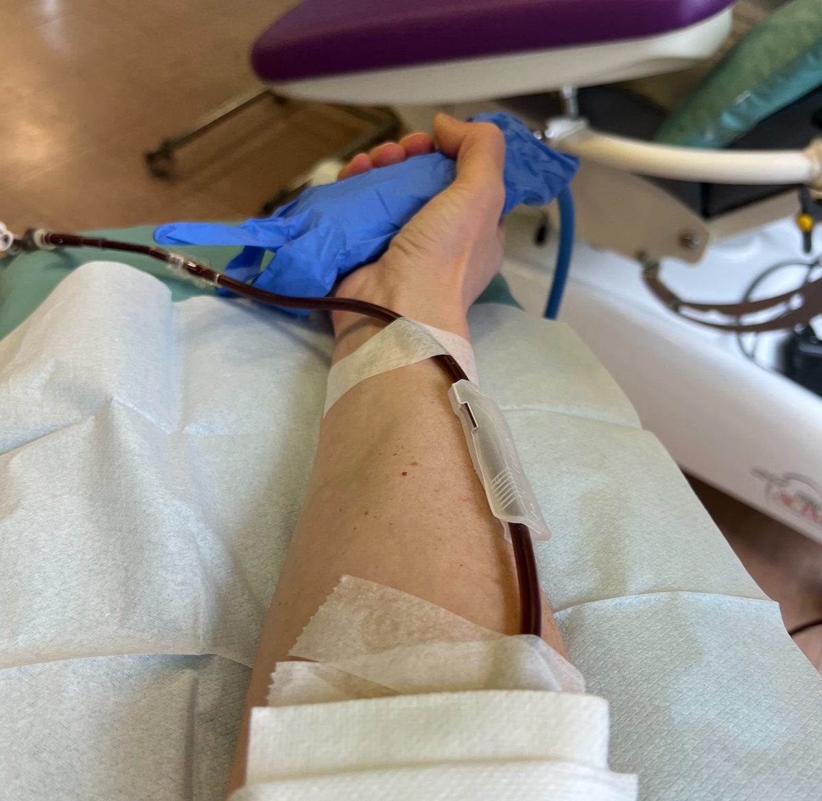 MonPampl's tweet photo. I donated plasma last week (my blood type = universal plasma donator). It was easy and painless.

🩸 Blood banks around the world need blood, platelets and plasma.

Do what you can!

#donateblood https://t.co/FDr5BsDOQu
