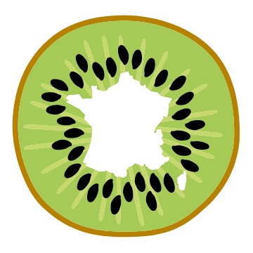 Zoom sur Le kiwi des Producteurs Français !
=> maisquoi.fr/le-kiwi-franca…