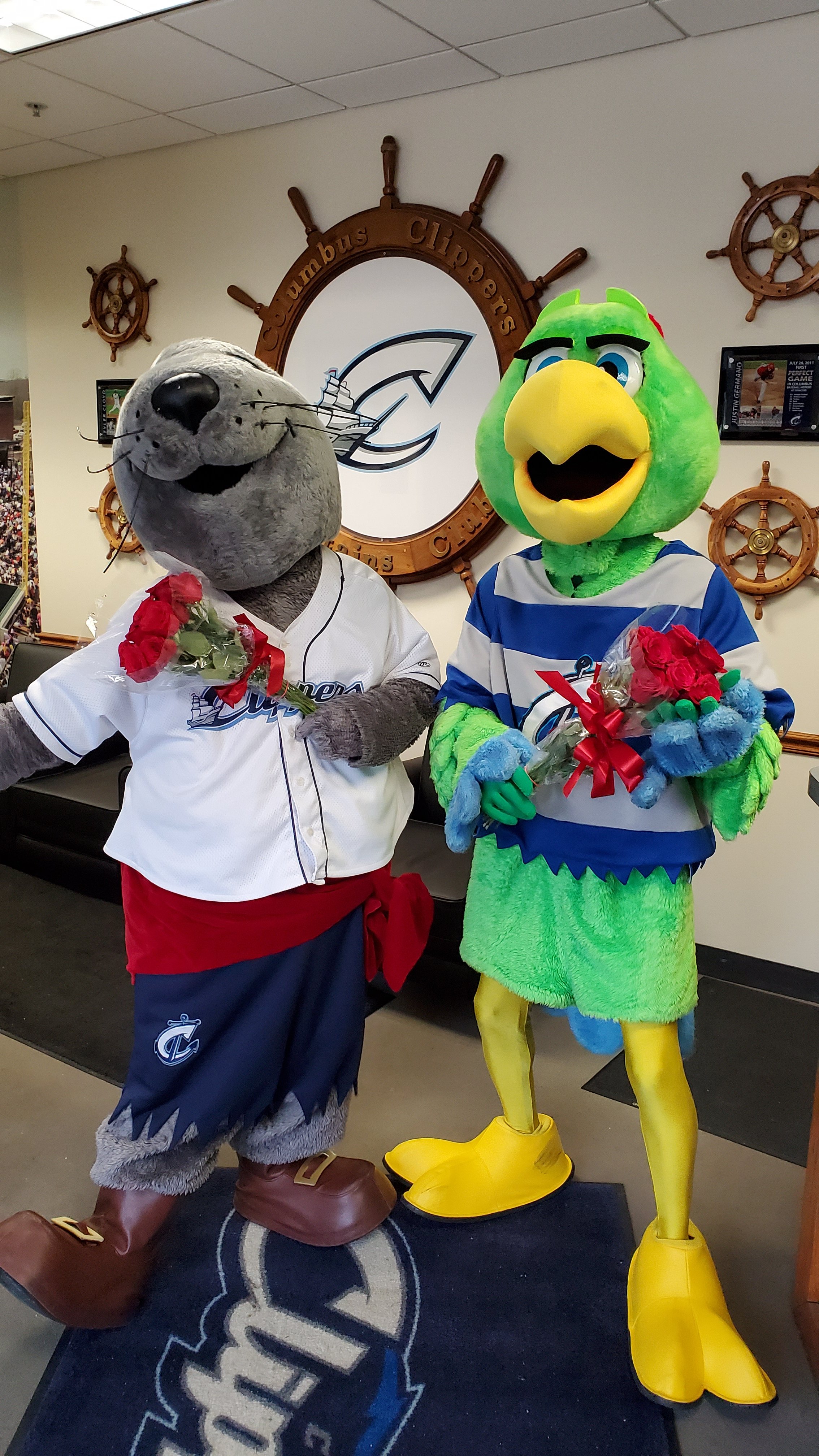Lou Seal, Mascot Wiki