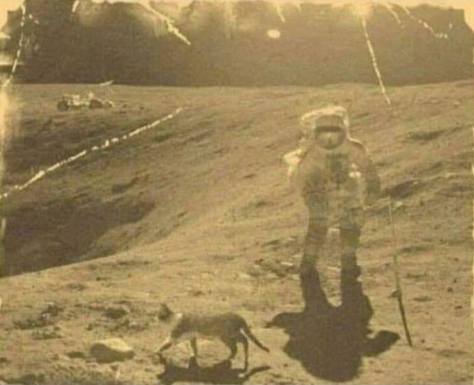 SaveTheSpace1's tweet photo. 😅The true moment when Apollo13 astronaut Jack Swigert said:

Okay, Houston, we've had a problem here... https://t.co/fQnAo0lNtn