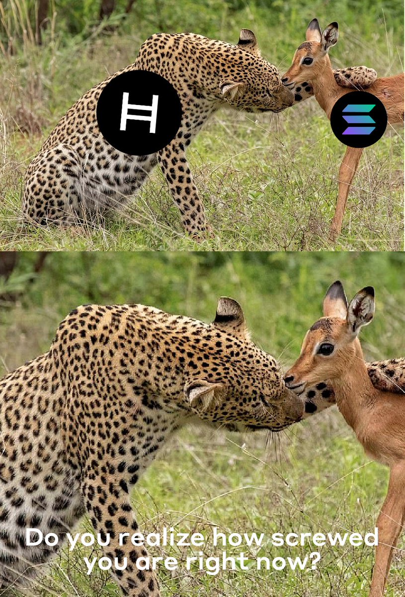 BarHBARian's tweet photo. @davidallencohen @hedera @chasker @ShayneHigdon @CredibleCrypto Hedera $HBAR purring like a kitten #HBARbarians ⚔ https://t.co/xN2rJ5Vn2i