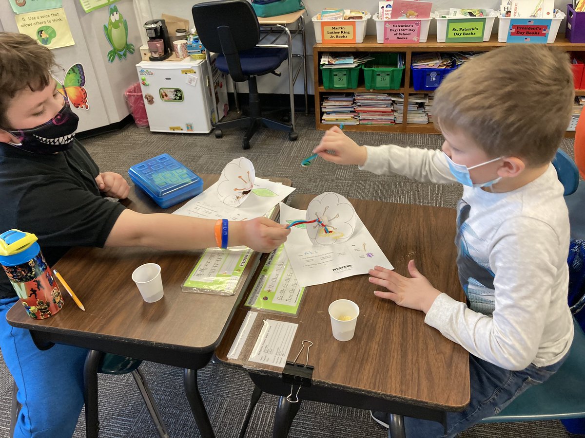 JoAnnLiffner's tweet photo. In science class yesterday, our kiddos learned how and why flowers are pollinated with a fun “hands-on” activity! 🌸🐝❤️ #scsforward #smallschoolBIGIMPACT #thirdgraderocks #mysteryscience #powerofflowers https://t.co/BQ6fStU1FJ