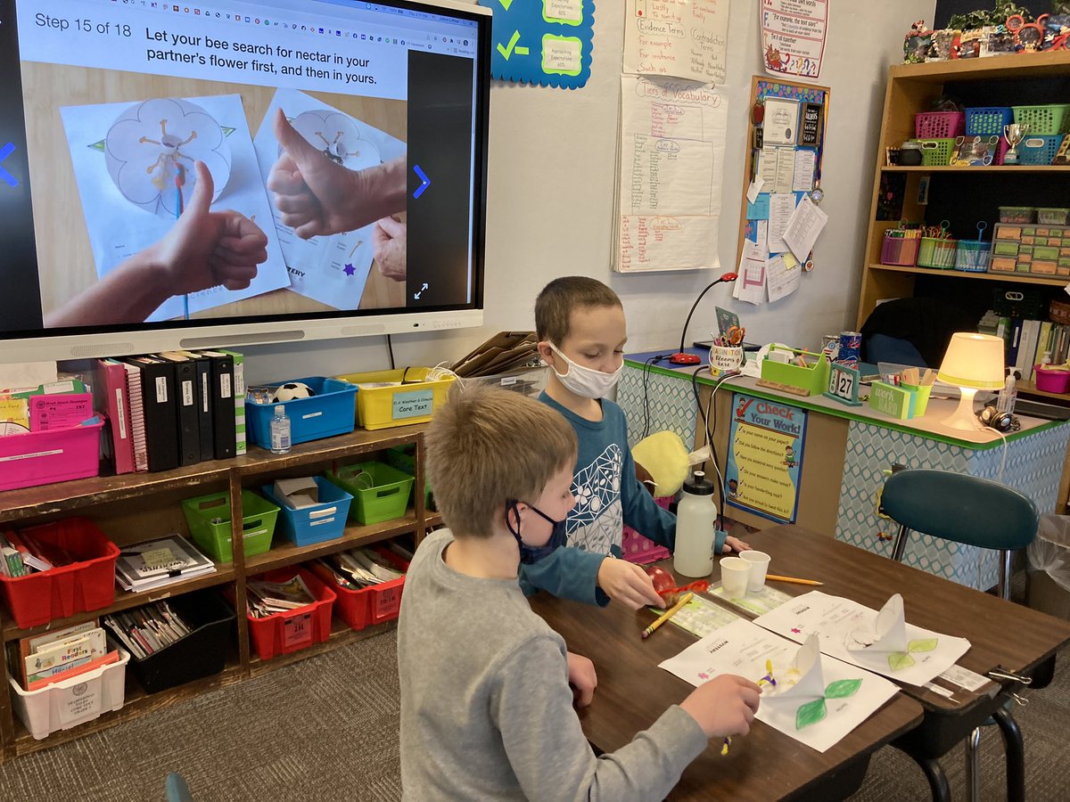 JoAnnLiffner's tweet photo. In science class yesterday, our kiddos learned how and why flowers are pollinated with a fun “hands-on” activity! 🌸🐝❤️ #scsforward #smallschoolBIGIMPACT #thirdgraderocks #mysteryscience #powerofflowers https://t.co/BQ6fStU1FJ