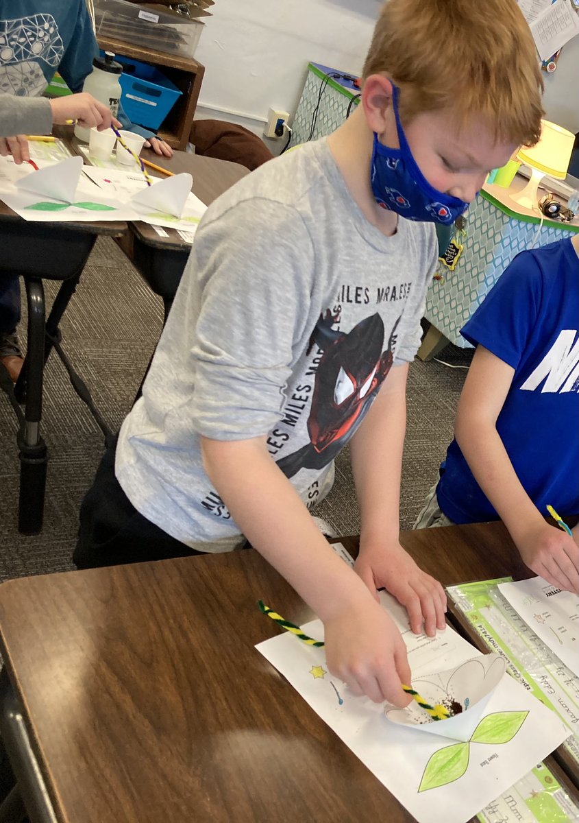 JoAnnLiffner's tweet photo. In science class yesterday, our kiddos learned how and why flowers are pollinated with a fun “hands-on” activity! 🌸🐝❤️ #scsforward #smallschoolBIGIMPACT #thirdgraderocks #mysteryscience #powerofflowers https://t.co/BQ6fStU1FJ