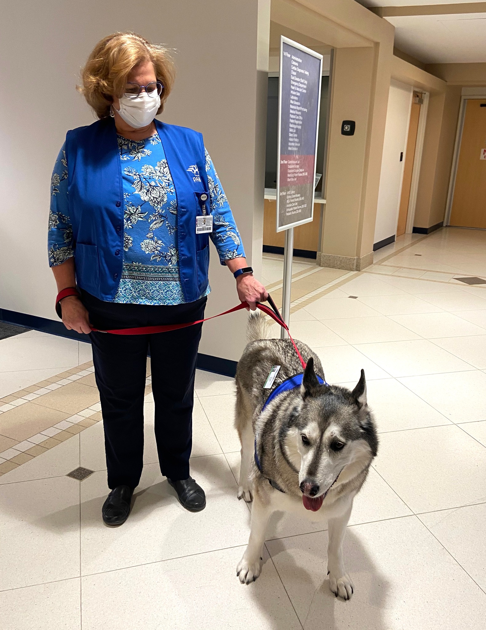 How Do Therapy Dogs Lower Bp