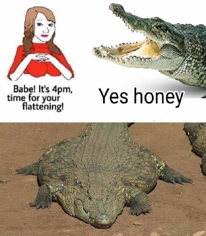 Its your time. Its time no daddy. Its your time. Its time to stop мем jojo. Its your time.