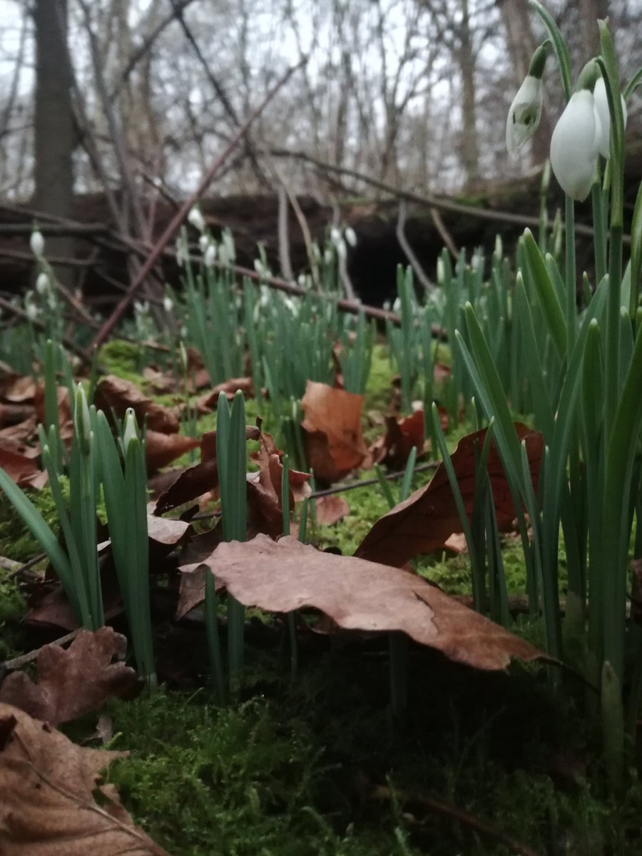 Pepijn🌱 tweet media