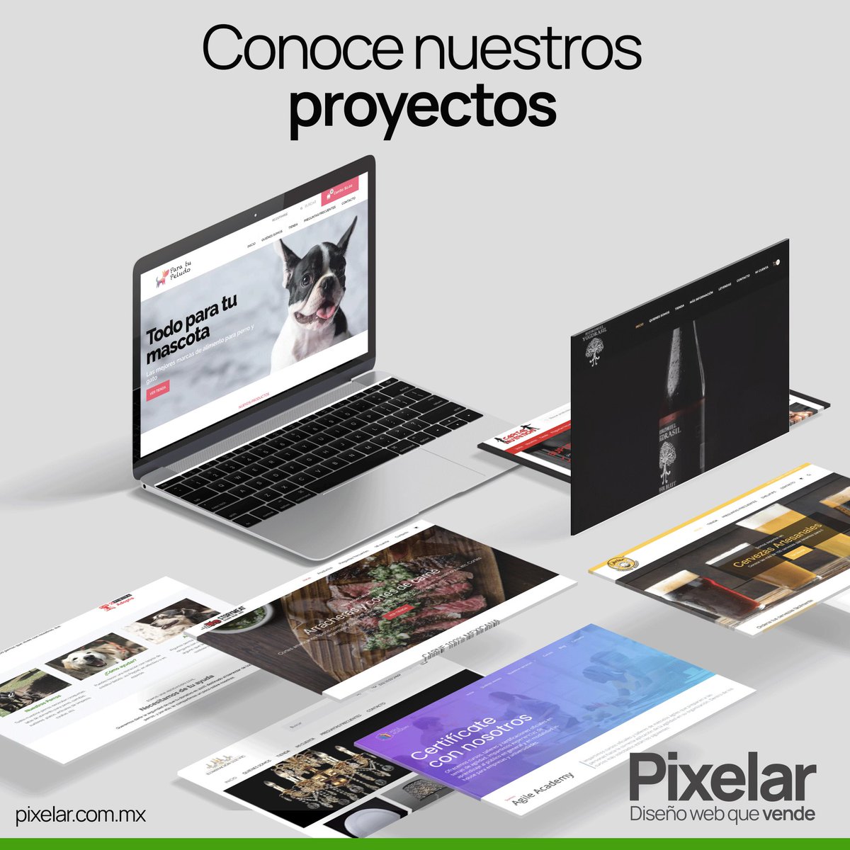 pixelar.com.mx tweet media