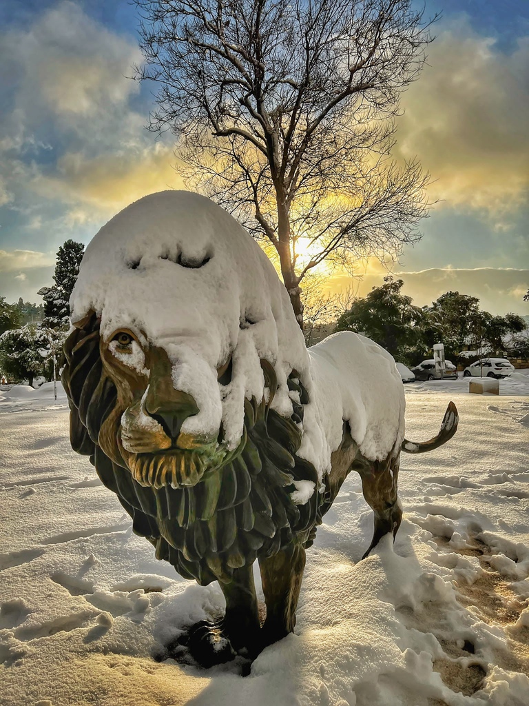 Shabbat Shalom from the Snowy Jerusalem! ☃️❄️

📸@rami_cohen_

#jerusalem