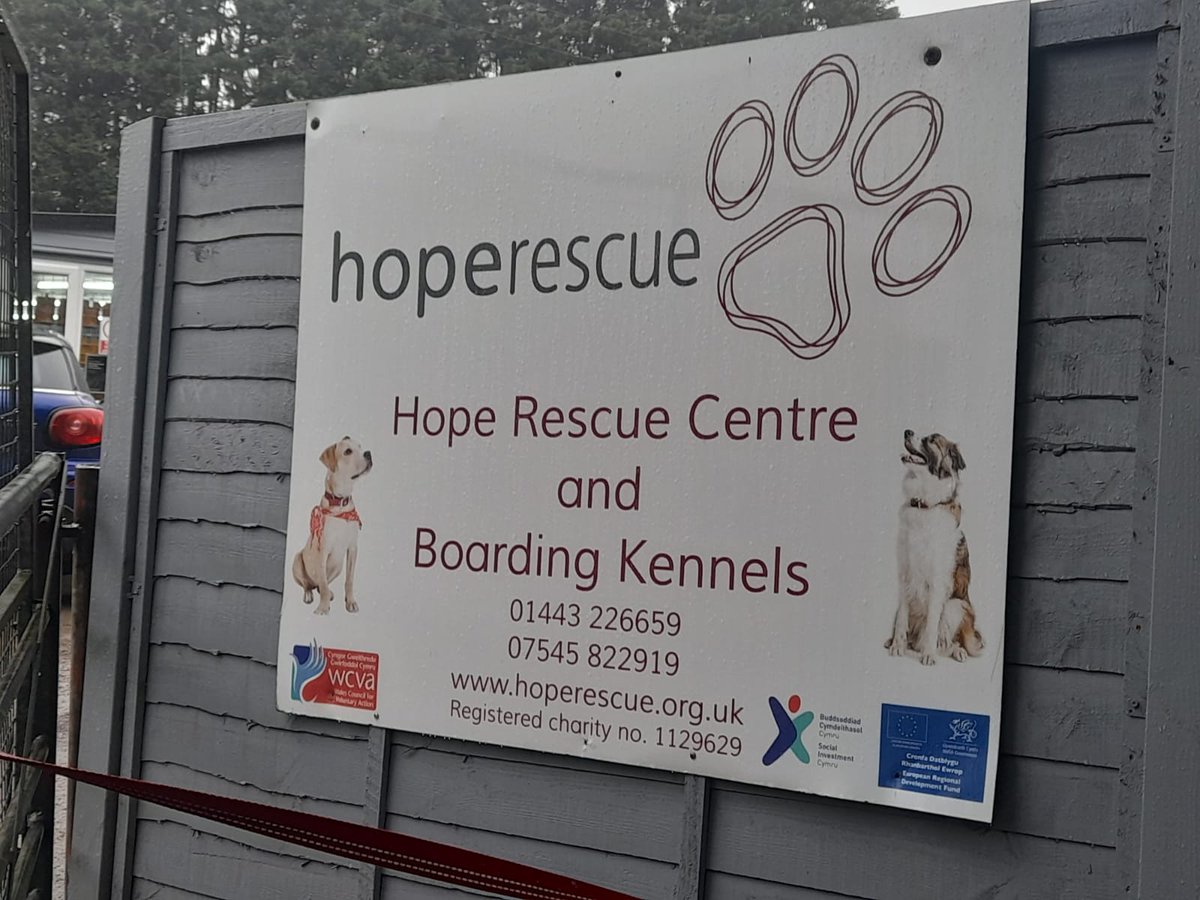 Naturewatch_org's tweet photo. 1/3: Natalie and Tash from our Campaigns Team are visiting @HopeRescue in South Wales today to meet some #puppyfarming and #backyardbreeding survivors.
These poor dogs have been used for indiscriminate breeding, forced to churn out litter after litter. https://t.co/88vlzl5Sik