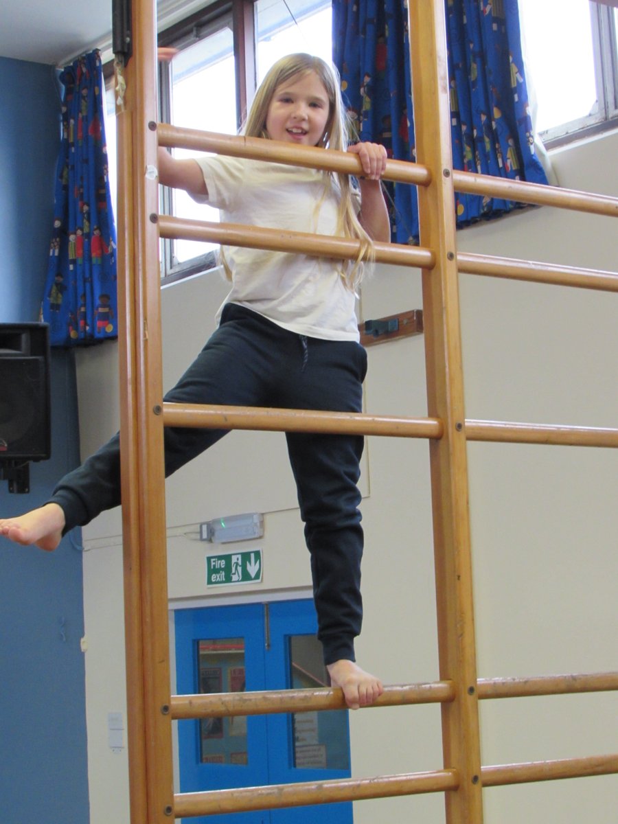 The Monkeys Class doing what Monkeys do best. We have loved our Gymnastics lessons this week.