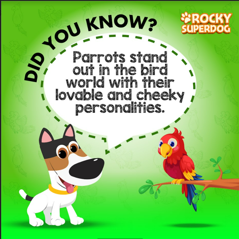 The Parrots are the most outgoing and talkative of the group. 🦜

#rockysuperdog #rockysuperdogadventures #rocky #rockytips #rockytrivias #parrot #zoo #love #nature #pets #dogsandpals #animal #birds #bird #jungle #nature #worldwide #friend #care #love #pawsome