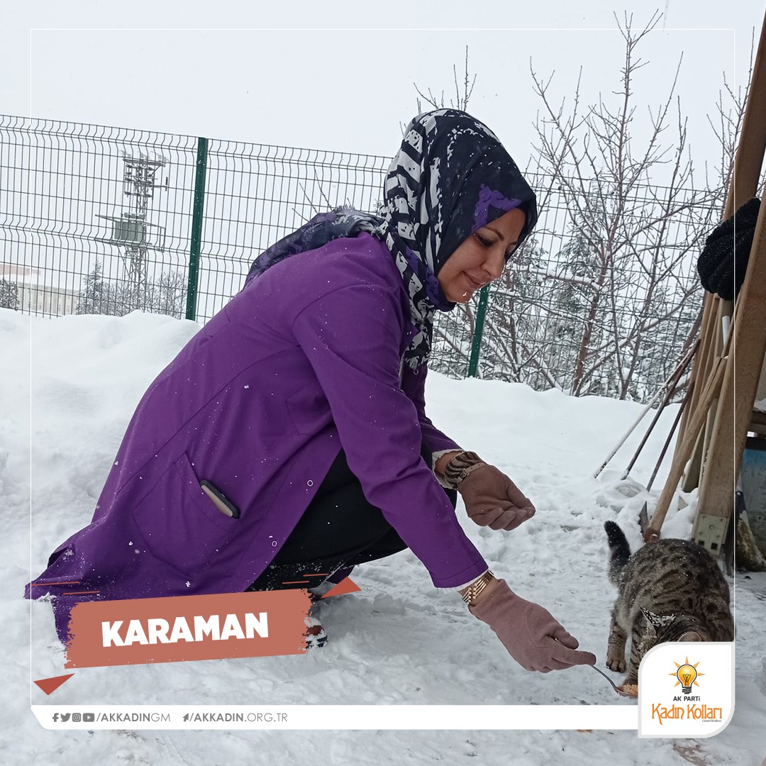AKKADINGM's tweet photo. Her zaman olduğu gibi bu zorlu kış günlerinde de sokaktaki canlarımızı unutmuyoruz. 🐱🐶🐦

Bir kap mama, bir kap su ile hayat kurtarabiliriz çünkü onların canı #BizeEmanet . https://t.co/JxnpIrsgo0