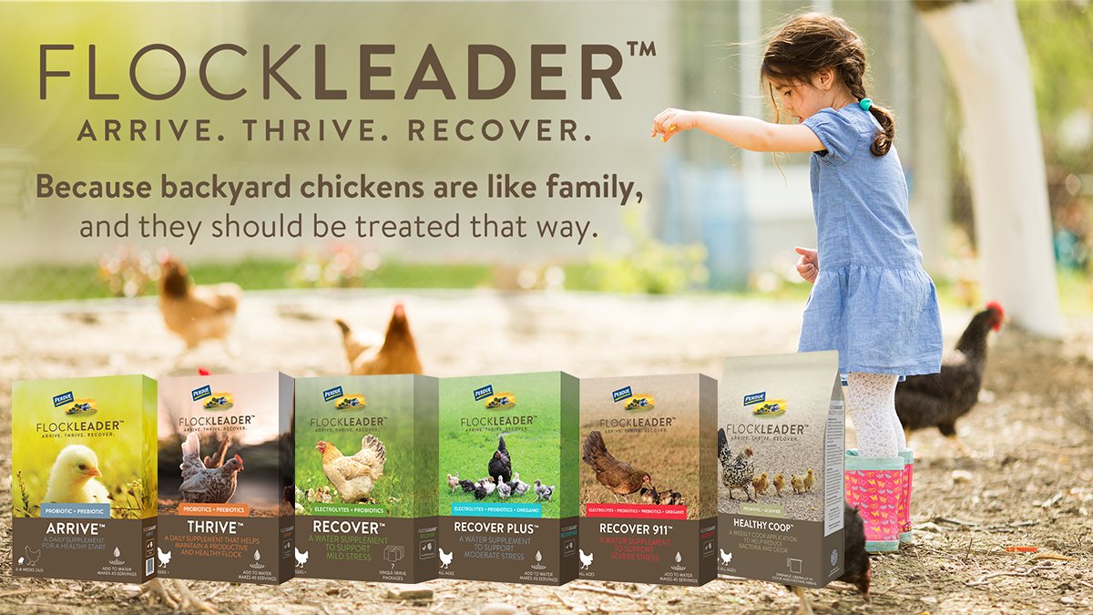bwicompanies's tweet photo. #FlockLeader offers 6 unique products to help backyard chicken owners keep their flock healthy &amp; solve specific concerns! Contact your BWI rep or order online at https://t.co/qRASk9bhPG. More info > https://t.co/JoY4HrVUhq

#BWI #TopNotchService #AnimalHealth #PerdueFlockLeader https://t.co/wwMk4DXWzi