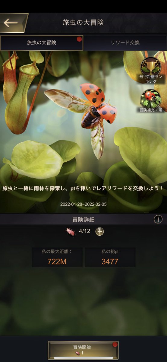 MegawallsPlayer's tweet photo. @theantsjp サーバー315 iD13725110 https://t.co/4dxejiJD4C