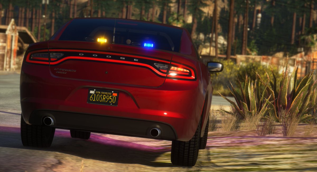 ThatGuyCarson 🇺🇲 tweet media