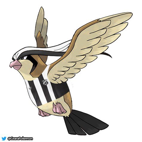 CearaPokemon's tweet photo. Dia 18

Nº018 - Pidgeot é do Vozão https://t.co/ym08U7l9OD