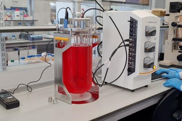 GLEN ILLING tweet media