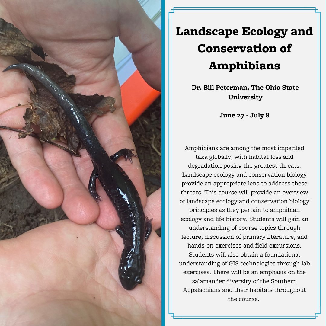 Calling all #amphibian enthusiasts! Come learn how #landscapeecology can help inform #amphibianconservation efforts. More info on our website. @wcu #highered #summercourse #ecology #herpetology #fieldstation