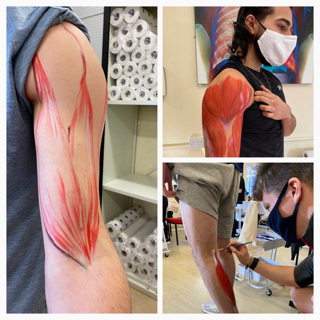 It’s been a creative week, from anatomical body painting for induction week with our new Year 1 MSc pre-reg physio students to drawing cranial nerve faces with Year 2! #creative @KeeleAHP #msk <a href="/KeeleUniversity/">Keele University 🐿️</a>