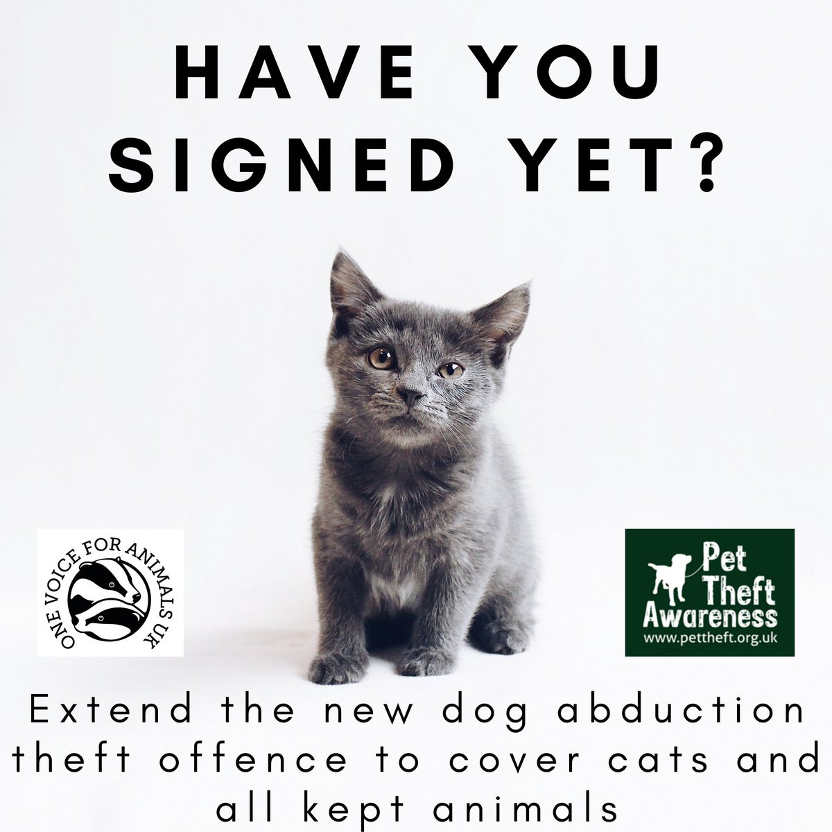 HelpAnimals25's tweet image. We are so close to 10,000 signatures in order to obtain a DEFRA response

Extend the new dog abduction theft offence to cover cats and all kept animals

Sign the @pettheftaware petition here: petition.parliament.uk/petitions/6023…

#petition #petabduction #pettheft #pettheftreform #animallovers