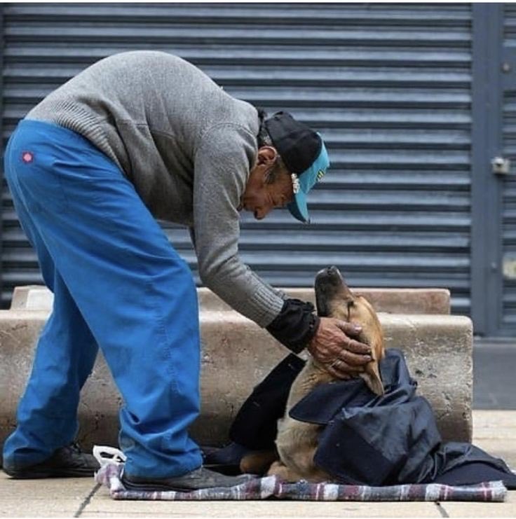 Solo necesitan un poco de amor para ser felices!!