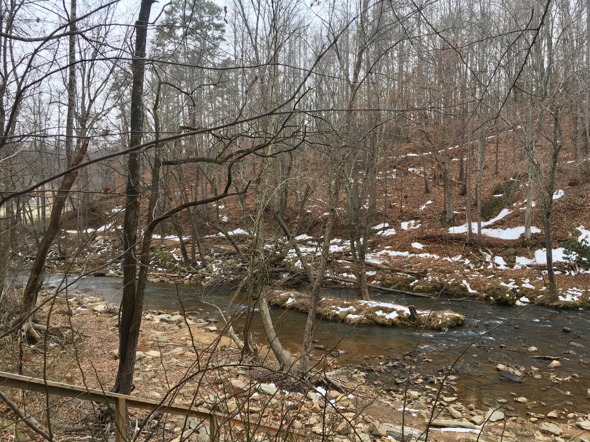 abikeanditsgirl's tweet photo. I prefer 2 wheels & a saddle...
But when I can't do 2, I'm thankful for 4, & handles...
And nature & trees & creeks & railtrails...
Walker-about w/The Phoenix...
Elkin & Alleghany Railtrail...
#keepmoving #someisbetterthannone
#polyradiculitis #flipit #thingsicando #gratitude https://t.co/Qo4kLLrAZJ