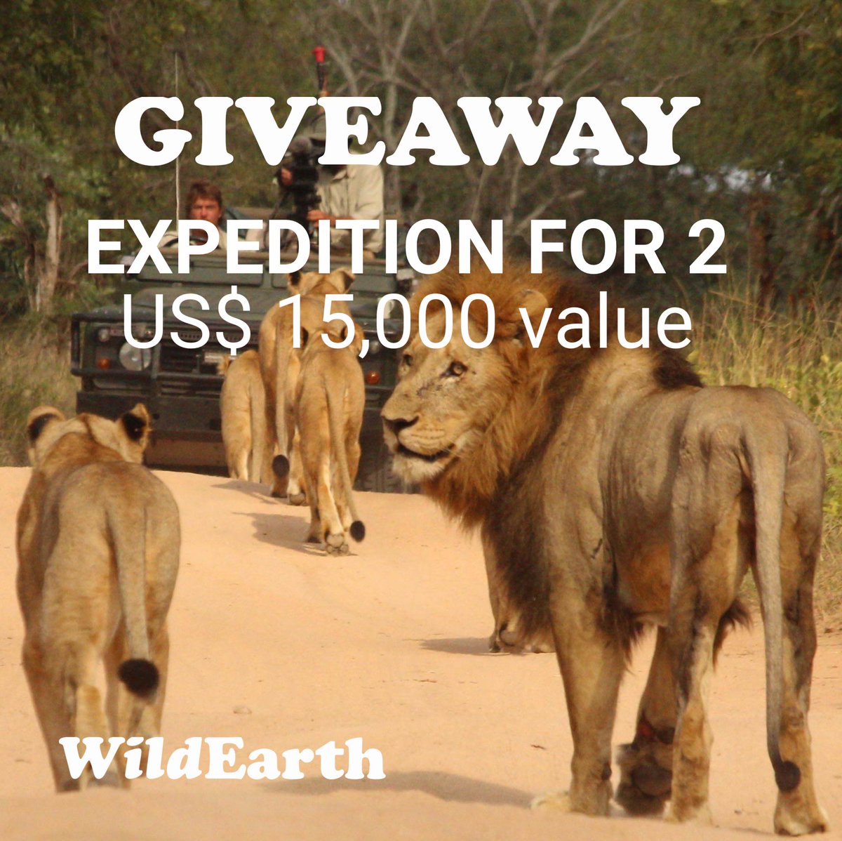 🚨 EXPEDITION GIVEAWAY 🚨

We're giving away an expedition to the Maasai Mara (Kenya) for 2⃣ to one lucky NFT buyer, including flights from anywhere ✈️!

To participate in this giveaway, all you have to do is click here and follow all the steps: discord.gg/wildearthnft