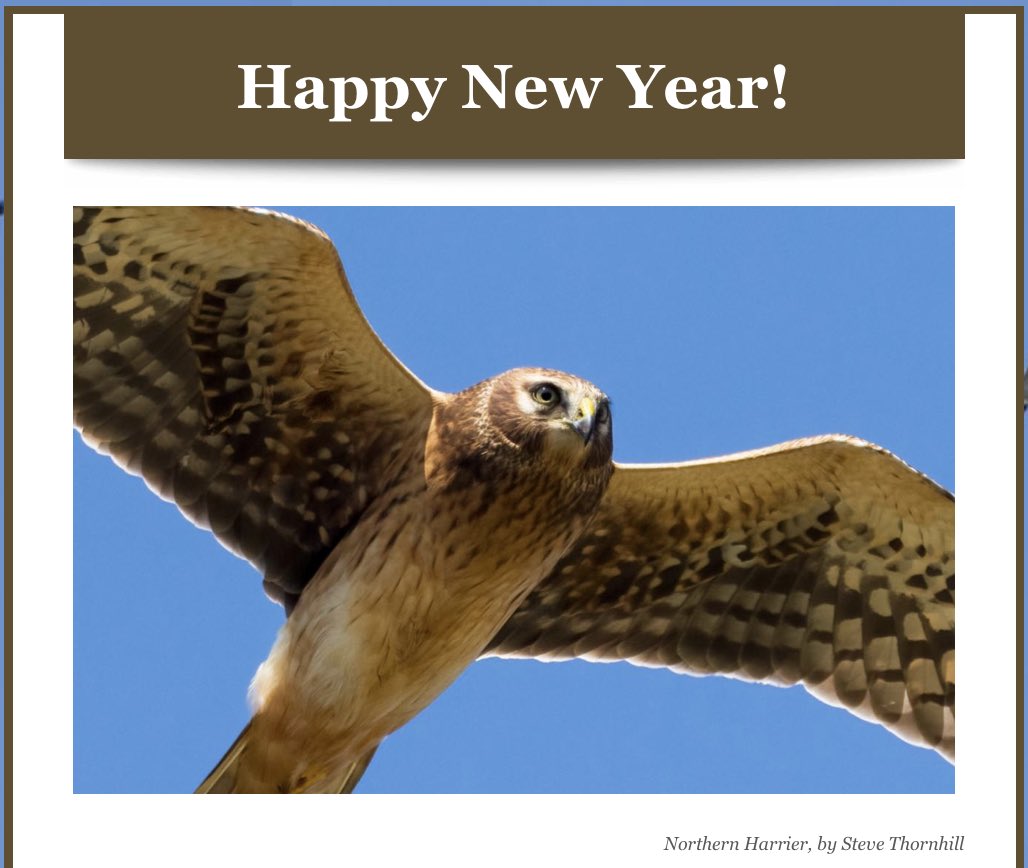 Your CVWO newsletter for January! Check out a chimney swift tower going up in Fords Colony, the possible one MILLIONTH bird counted during Hawkwatch this year, our job posting and more!
READ: conta.cc/3IKYonI
SUBSCRIBE: bit.ly/3IIW7Jy
 
#wildliferesearch #CVWO