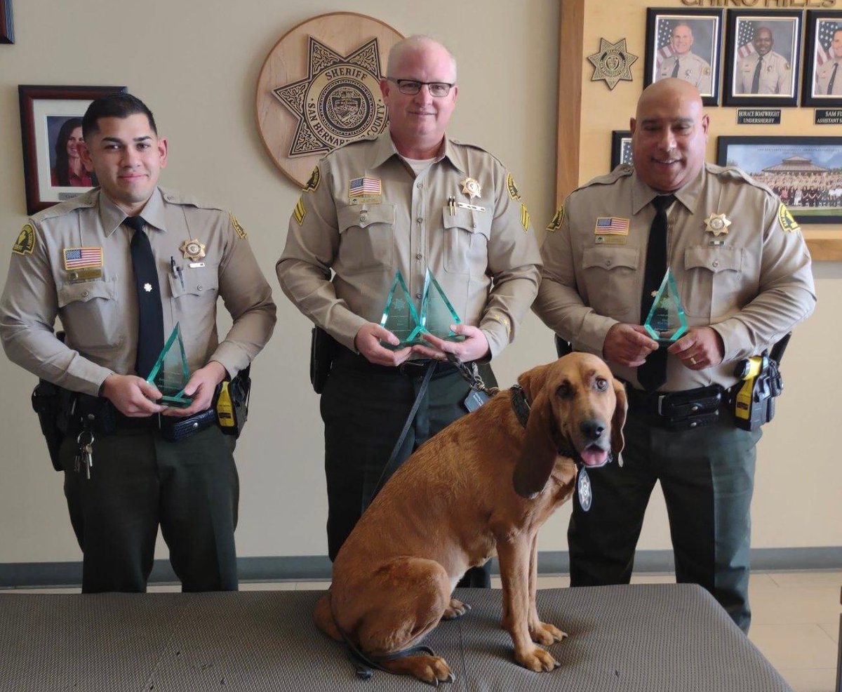 ChinoHills_PD's tweet photo. We are so proud to announce Dep.Alverez, Detective Girard, with K9 Dare and Dep. Negron received life saving awards for their truly heroic acts that saved lives. We are truly grateful for their service 💙 K9 Dare retired soon after 🐾 #ToProtectAndServe #AndSave @Chino_Hills https://t.co/ekS1s5DYzR