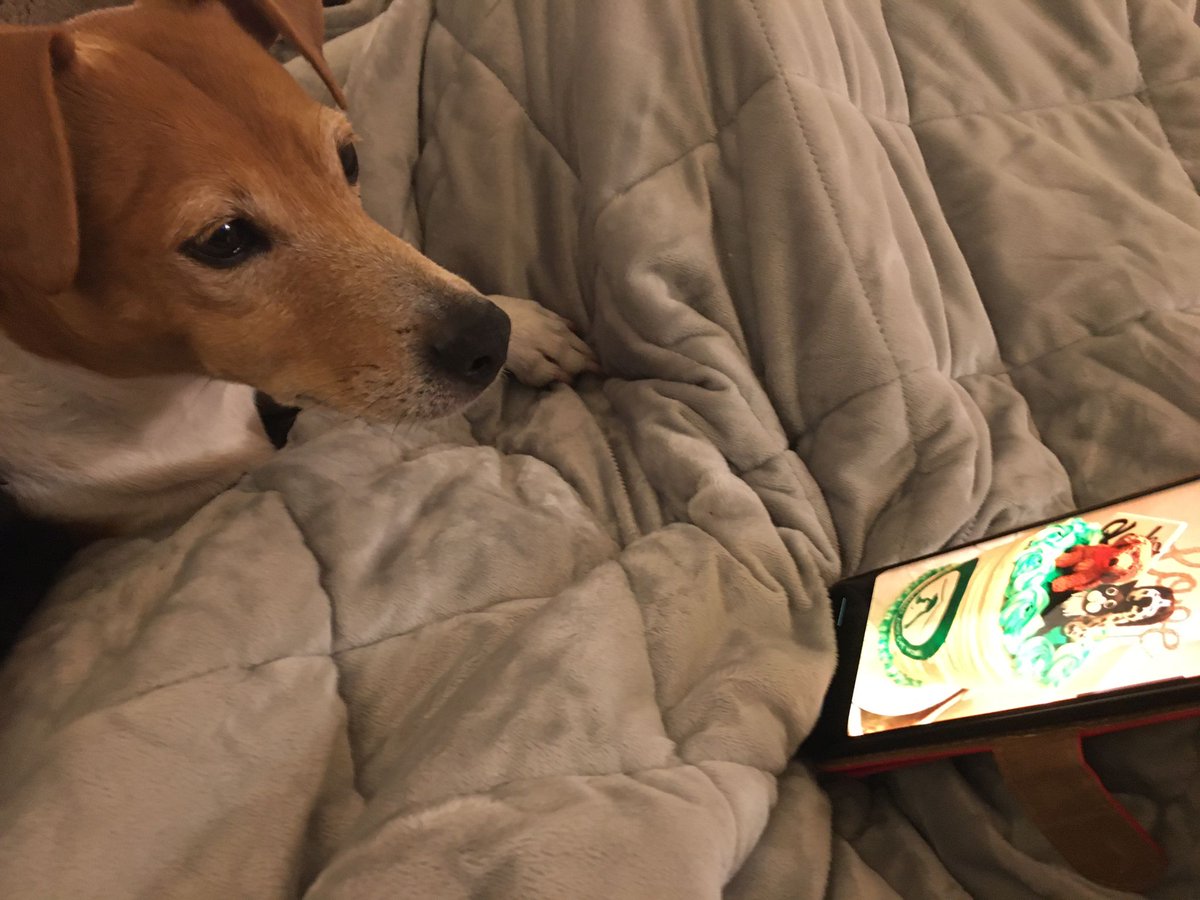 ThePlantQu's tweet image. This is the most amazing cake I've ever seen!! 😻

Made by @Fnicoll17 

Check out @Keeko_17 24 hour #CharityStream raising money for @EdinDogCatHome Nutmeg is waiting for her piece of cake🍰🤣