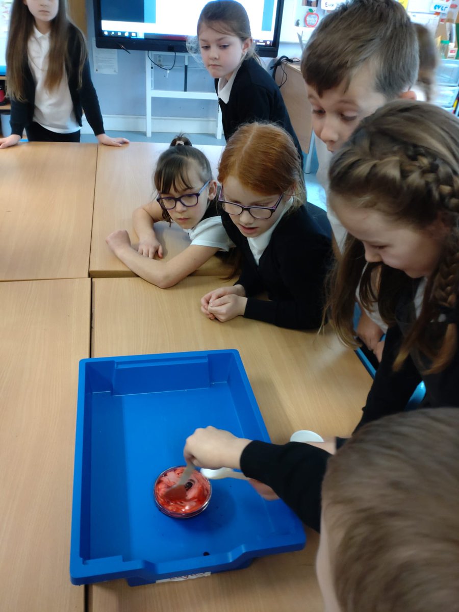 DreghornPrimary's tweet photo. It was a magical afternoon in Primary 4 today!! They completed making their Paul Klee Mr Majeika potions! #literacyacrosslearning #Science https://t.co/HYVlHpa8wj