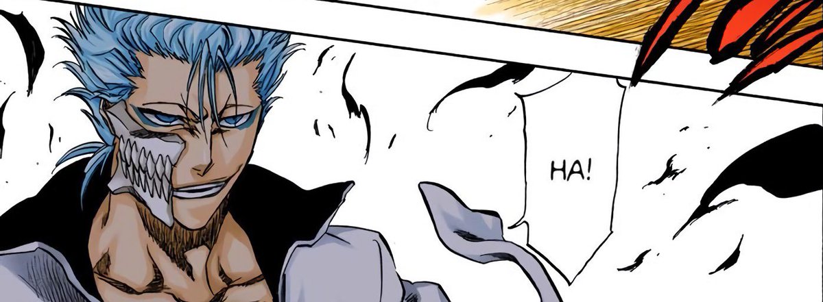 every grimmjow panel.