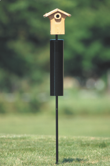 wbujax's tweet photo. Bird House Set Sale
Friday January 29- Sunday February 6, save 10% off when you purchase bird house, pole kit and baffle.*
*in store sale only #bluebirds #WBU https://t.co/0USpJDzSop