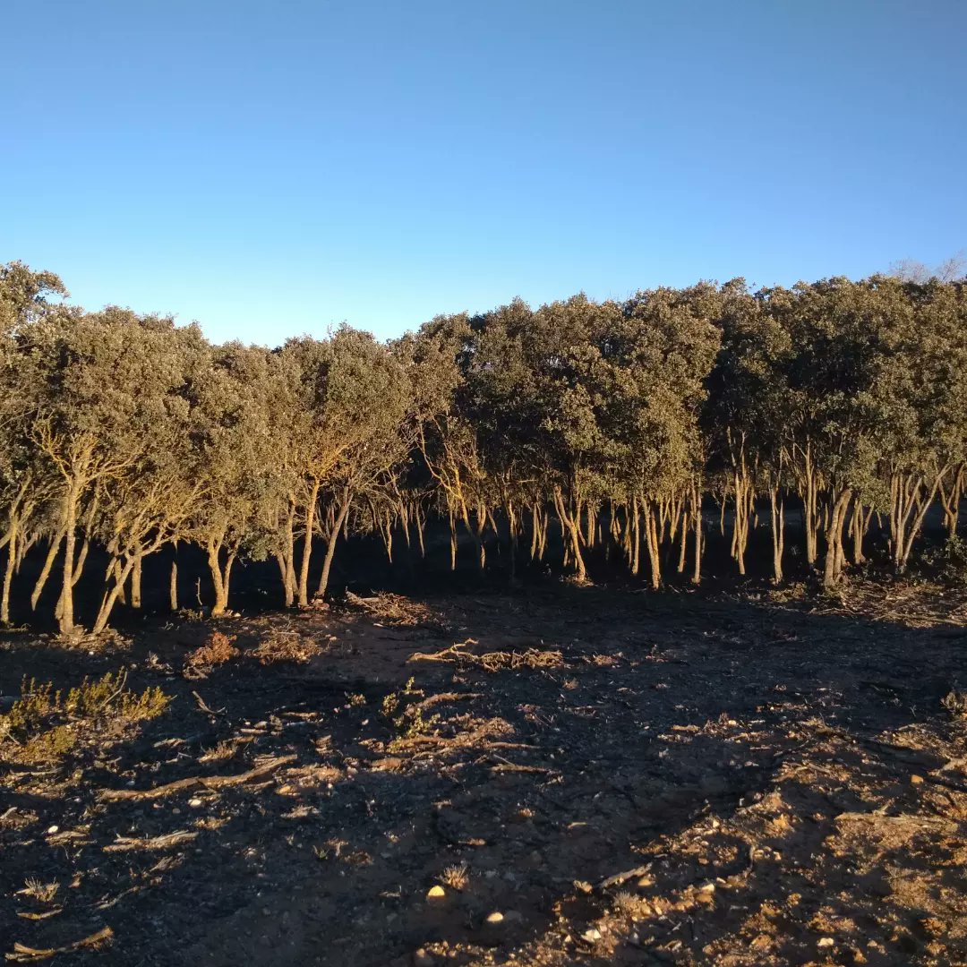 comcu's tweet image. ¡Volvemos!
El 12 de febrero organizamos la segunda carrera del Circuito Diputación Provincial de Cuenca.

Inscripciones en:
sico.fedo.org