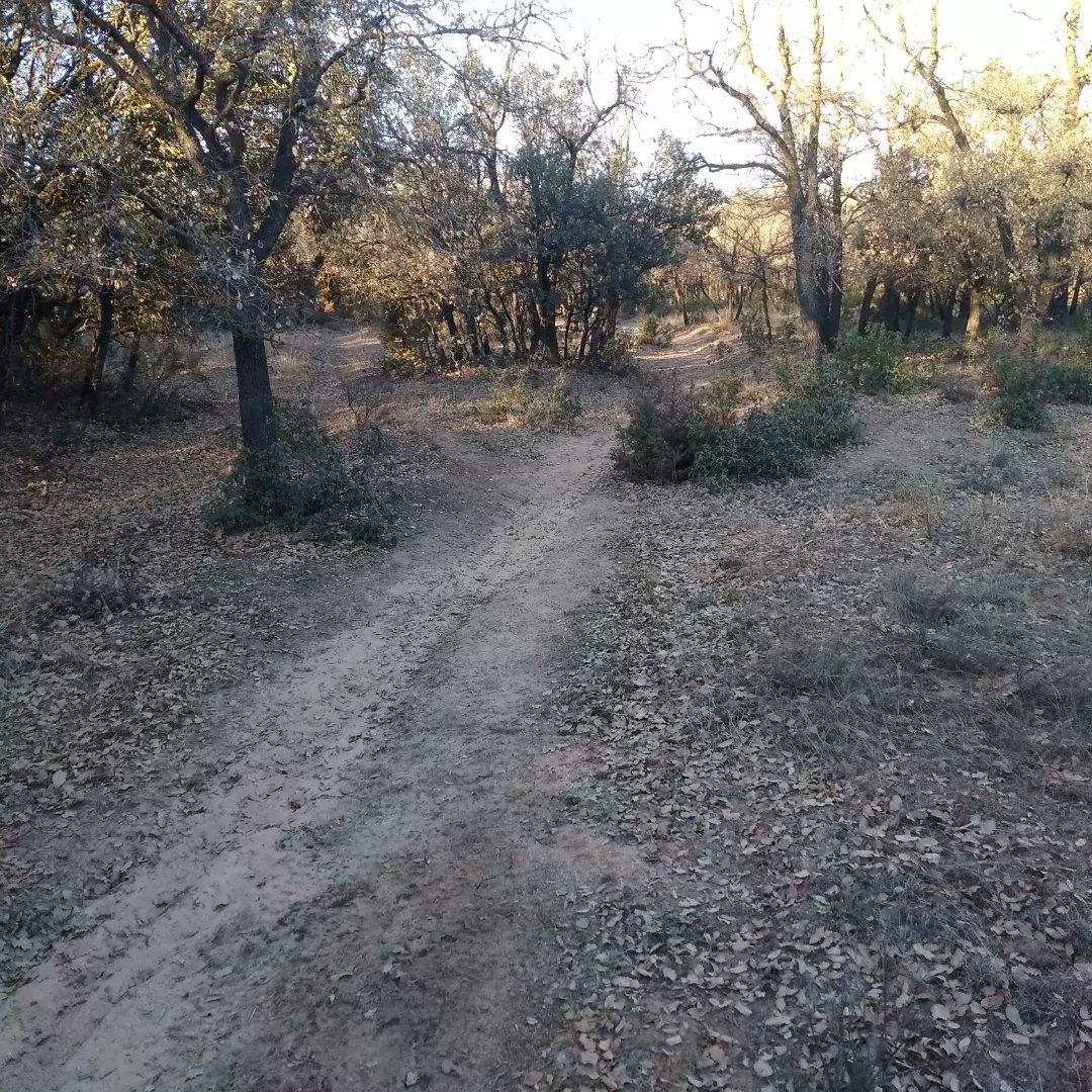 comcu's tweet image. ¡Volvemos!
El 12 de febrero organizamos la segunda carrera del Circuito Diputación Provincial de Cuenca.

Inscripciones en:
sico.fedo.org