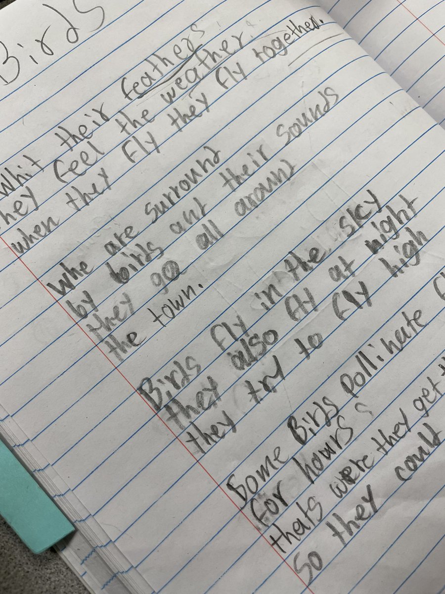 MrRedondo3's tweet photo. These 5th graders at @cisdsouthside @ClevelandISDTX wrote wonderful poems! Keep going poets! 👏🏻👏🏻👏🏻 https://t.co/2eE3chVPCv