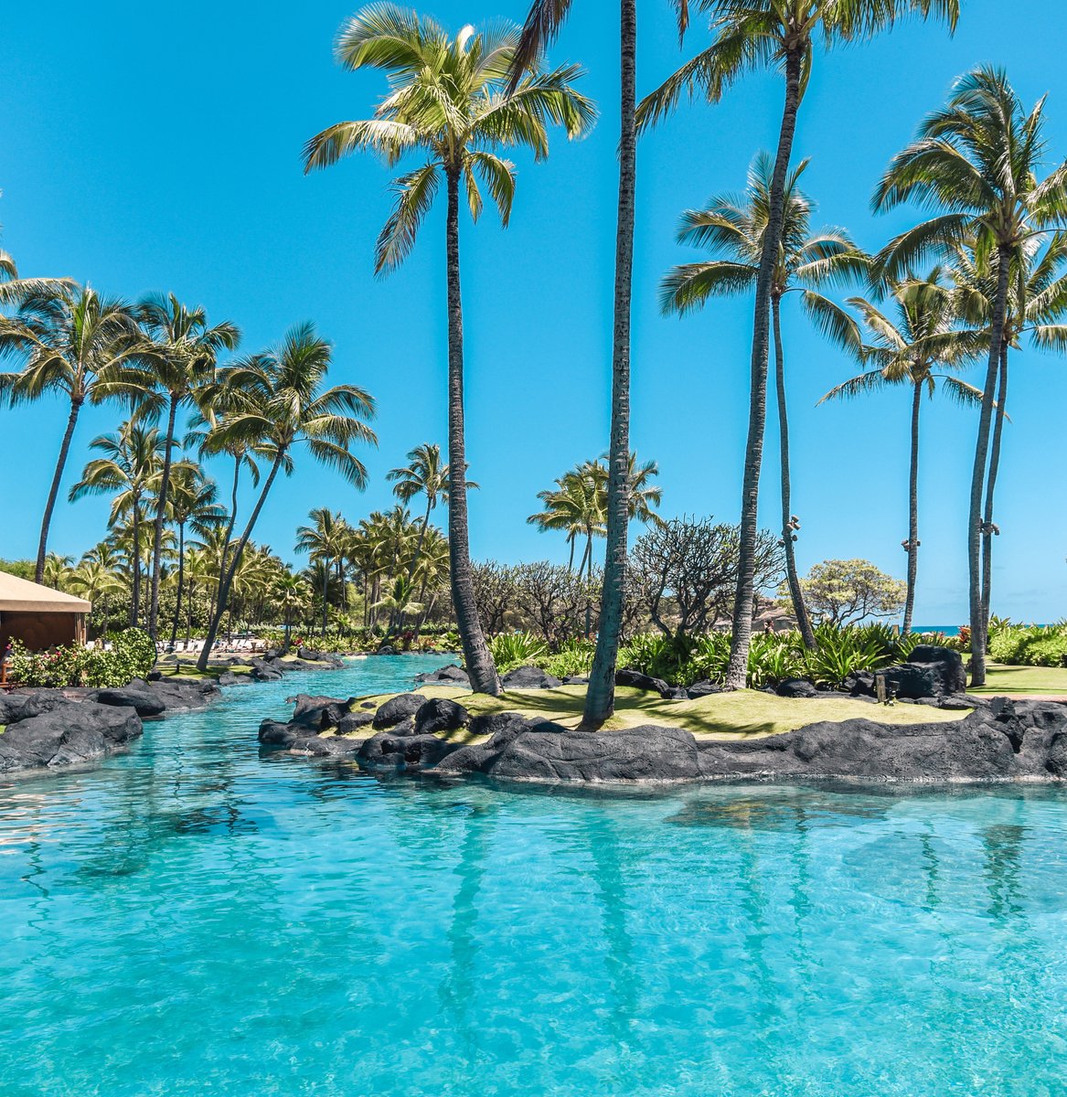 GrandHyattKauai's tweet photo. Winter blues? Ours are sure to cure.
.
#AlohaFriday #grandhyattkauai #ghkohana #kauai #amazingpool https://t.co/FASP4xHcIR