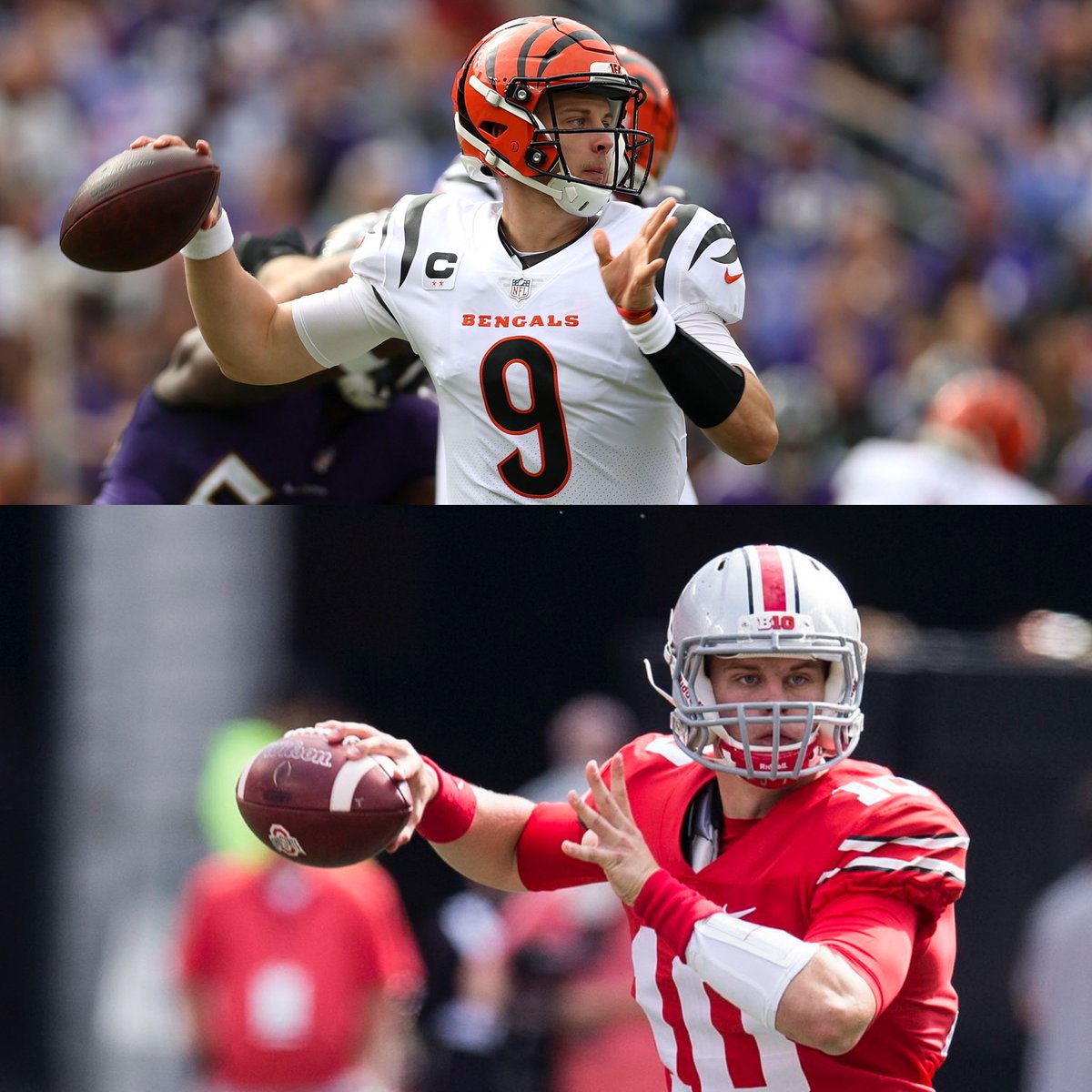 MrOH1O's tweet photo. Cincinnati Buckeyes

5 former Buckeyes will be starting for the Bengals in the AFC Championship game.

Eli Apple 
Vonn Bell
Isaiah Prince
Sam Hubbard
Joe Burrow https://t.co/JJ8cim7q3u