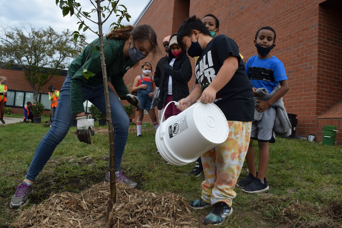TreeTrust's tweet image. 3/ If you'd like to look into Learning with Trees for your school, contact Tree Trust Community Forestry today. And thank you to the generous foundations and companies that make this program free for schools!
Full Story: treetrust.org/kids-planting-…
#learningwithtrees