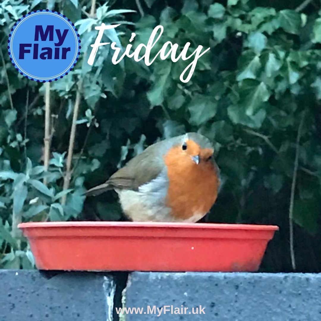 MyflairM's tweet photo. ♻️ Happy Friday! ♻️
Whatever you do this weekend take a minute to help wild birds around you. You could leave them fruit or just leave some fresh, unfrozen water. They like to bathe frequently and need a Friday drink too! 😁
#sustainability #savetheplanet #climatecrisis #wildlife https://t.co/m7CiKkQOlf