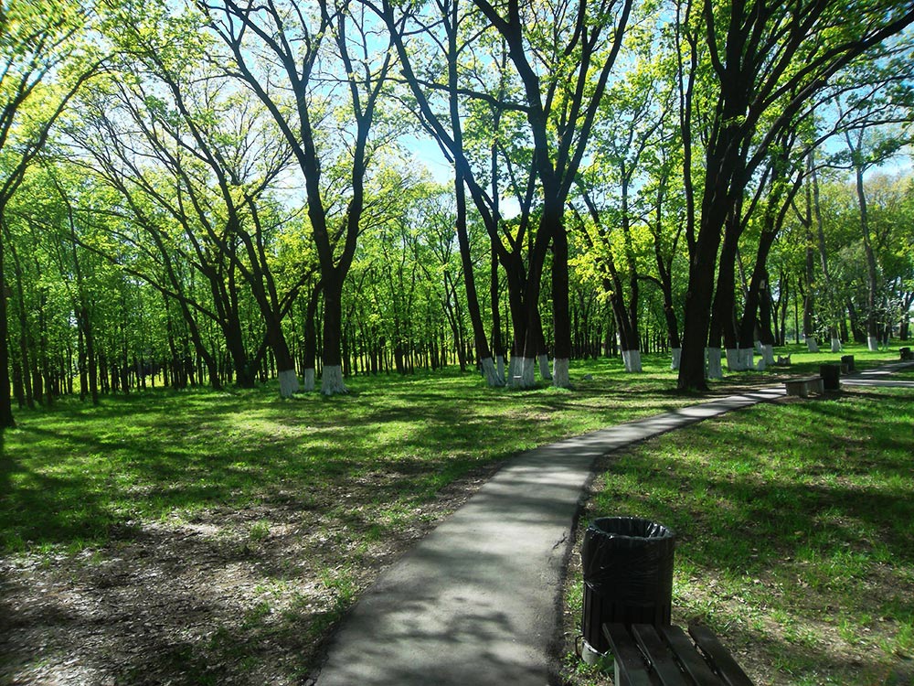 Добрый день, соучастники!
Благодаря нам всем, и каждому из вас - мы попали в 20 территорий по благоустройству  в следующем году. 
Дальше будет сложнее.
А пока Волгарь в игре.
<a href="/AA_Korobkov/">Алексей Коробков</a> , <a href="/E_Lapushkina/">Елена Лапушкина</a> , <a href="/D_Azarof/">Дмитрий Азаров </a>