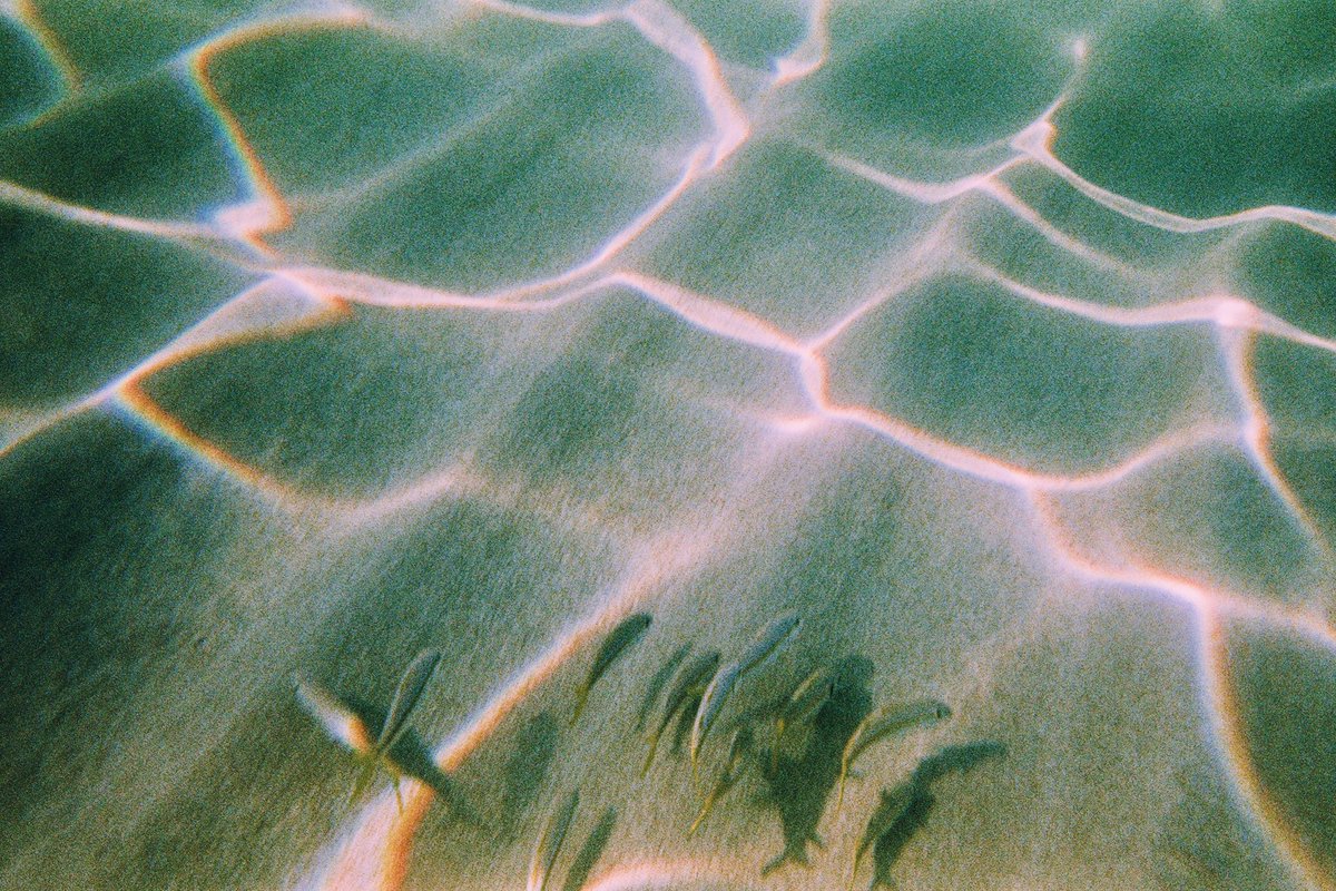 When I arrived in Mexico, I was determined to find a waterproof 35mm camera to shoot. 4 days in, I lucked out-

Fujifilm Underwater Quick Snap
Cabo, 2021