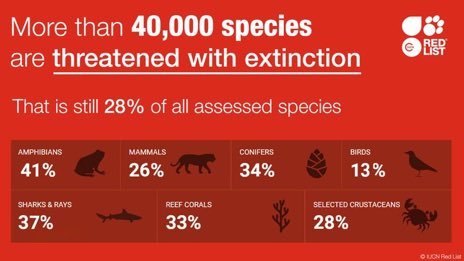 GurharminderS's tweet photo. #ClimateChange is one of the major driver of staggering & unprecedented loss of #biodiversity ๐ฆ๐ณ๐ฆ๐พ๐ฆ๐
๐ฆ๐ฆ
๐ฆ๐ ๐ข
#ForNature #WildlifeExtinction #ClimateAction https://t.co/iz8raoaU4r
