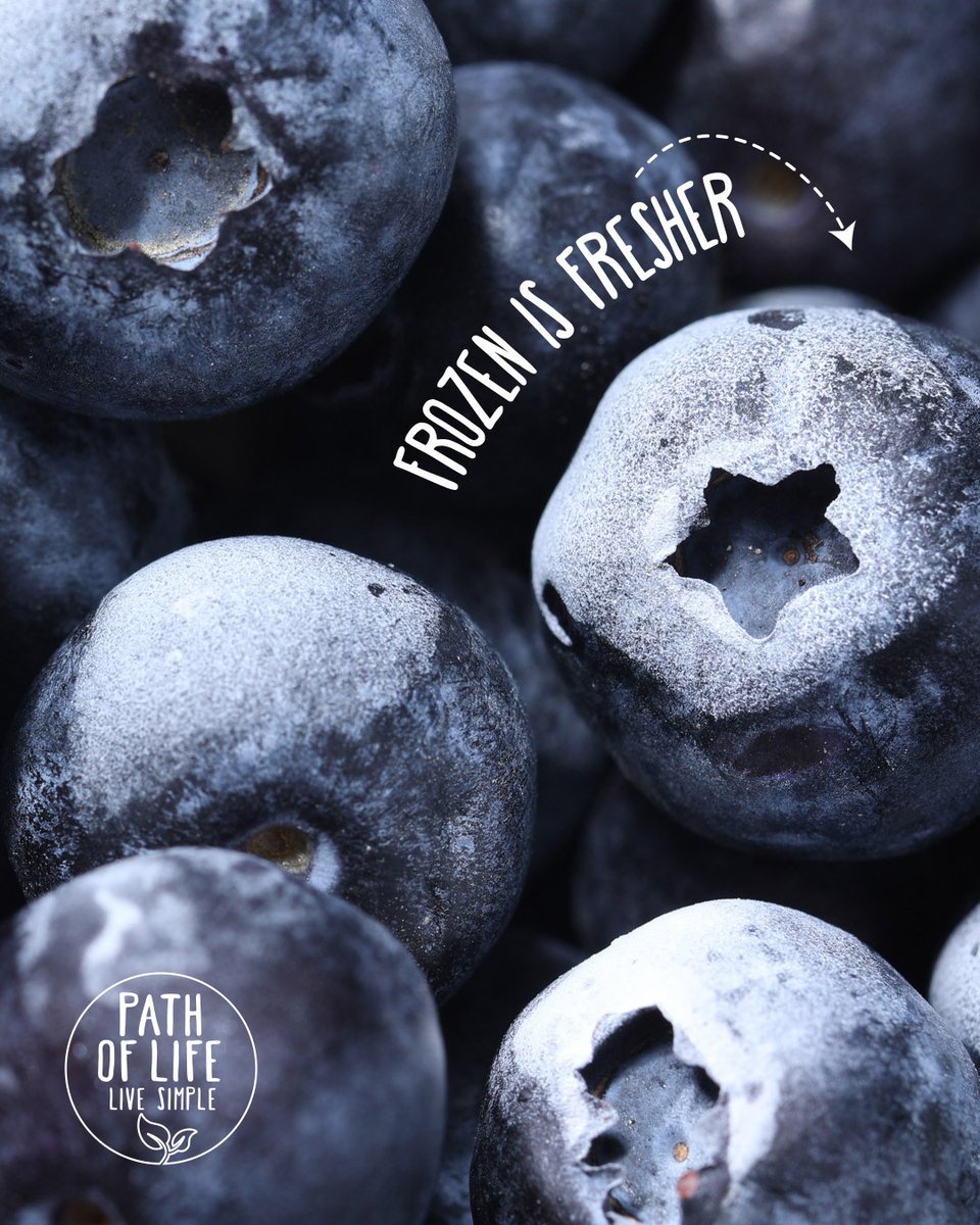 Path of Life tweet media