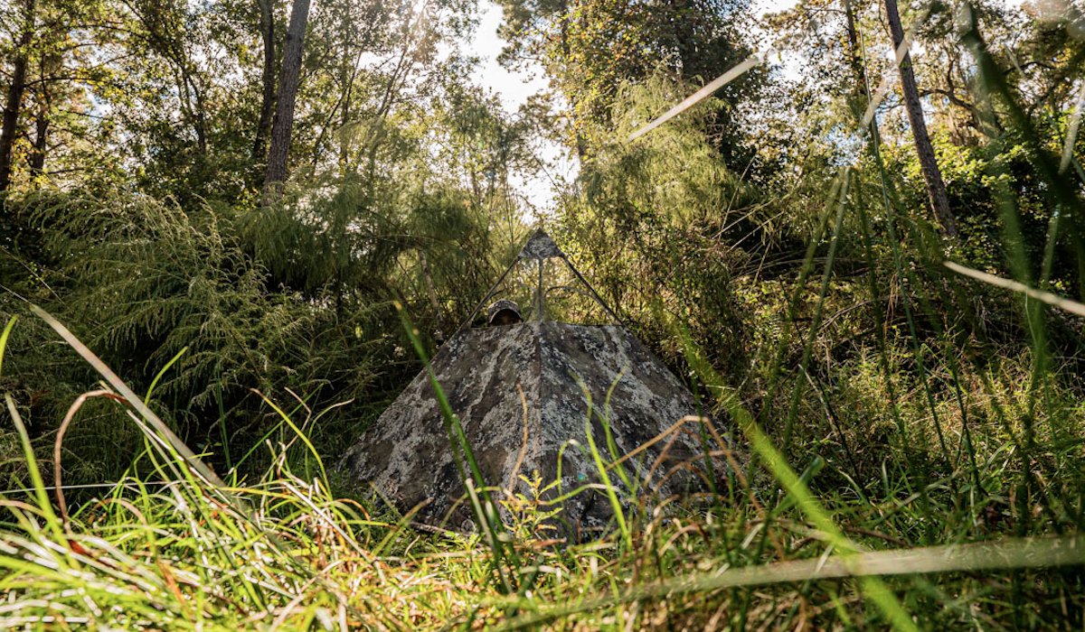 AllOutdoorcom's tweet photo. The NEW Grab and Go Hunting Blind From Nukem Hunting - https://t.co/afiQwKhLmn https://t.co/DTl85zaNEB